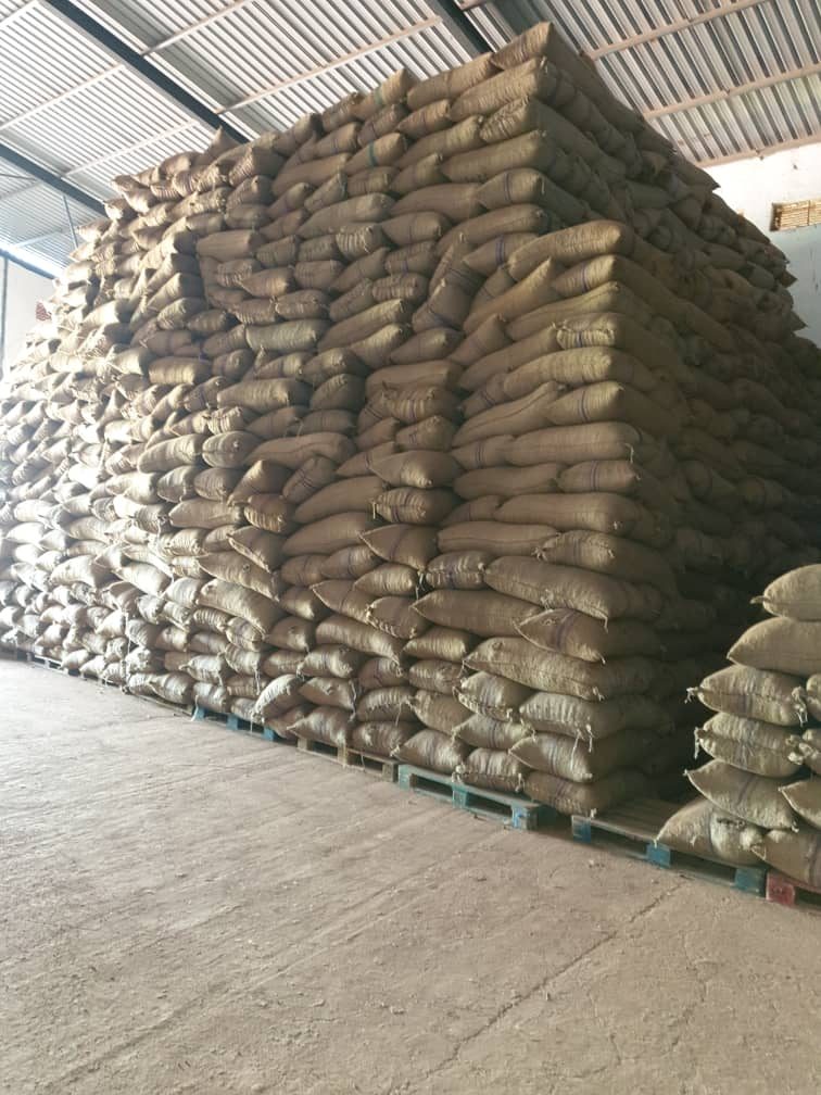 Các bao hạt điều thô được xếp chồng bên trong nhà kho tại Guinea-Bissau.
