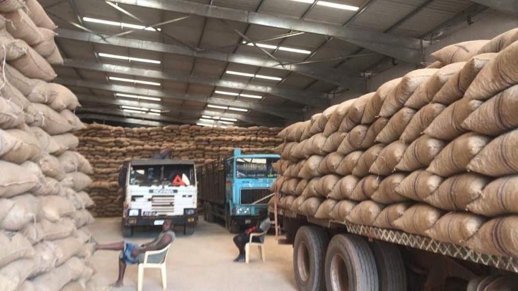 Xe tải và các bao hạt điều thô xếp chồng bên trong nhà kho tại Guinea-Bissau.